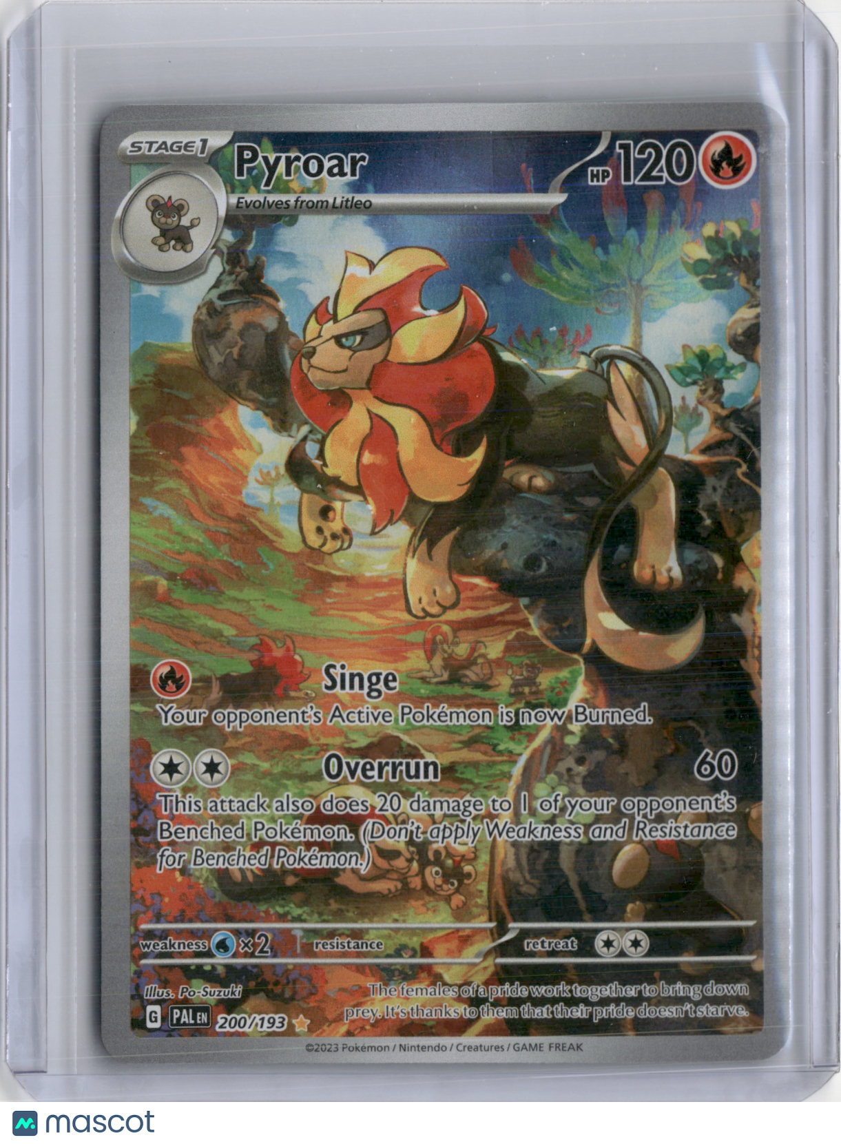 2023 PALDEA EVOLVED PYROAR ILLUSTRATION RARE #200/193