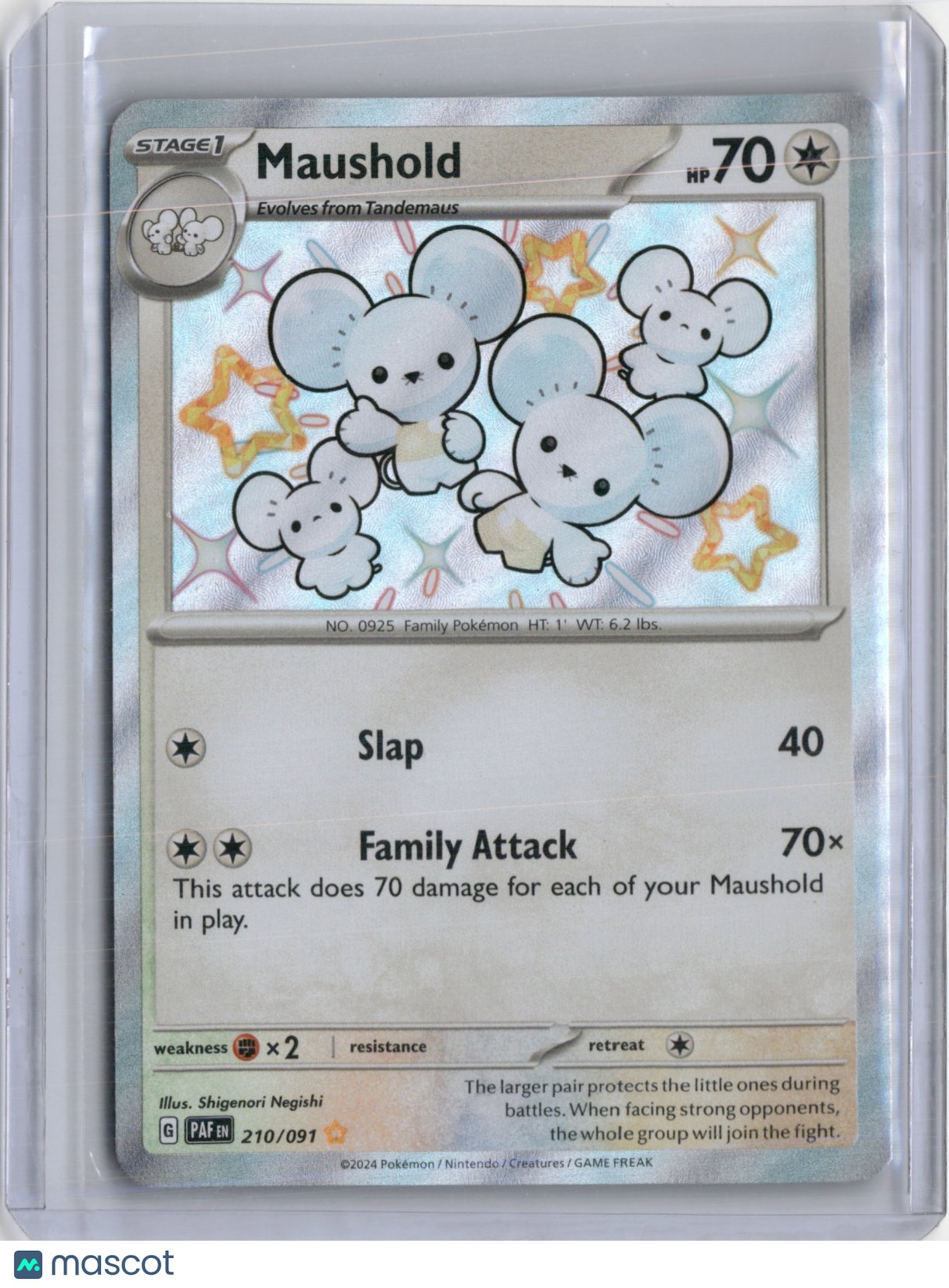 2024 PALDEAN FATES MAUSHOLD SHINY RARE #210/091 (B)