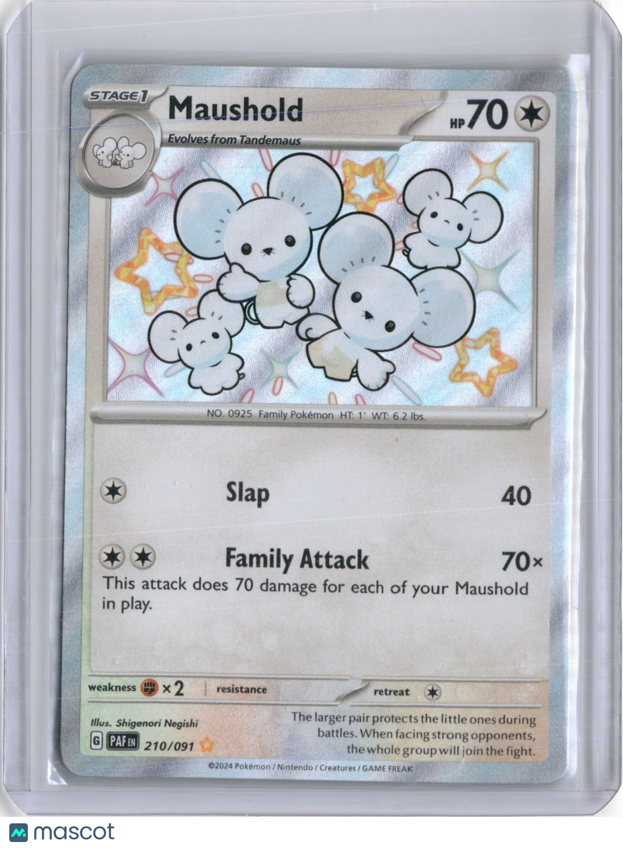 2024 PALDEAN FATES MAUSHOLD SHINY RARE #210/091 (A)