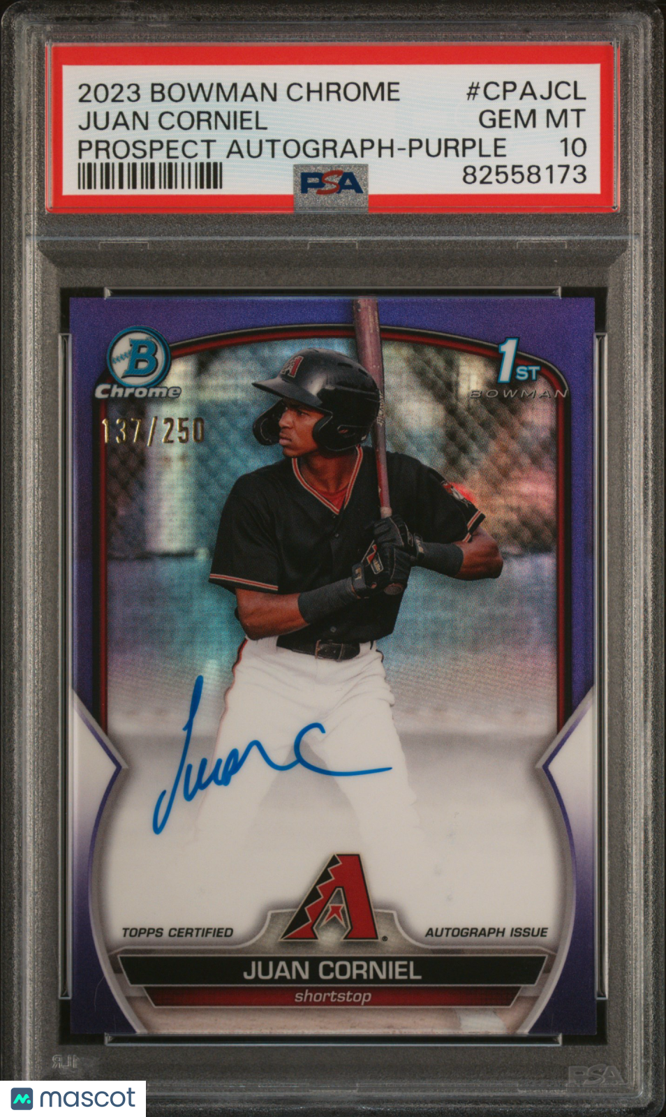 2023 Bowman Chrome Juan Corniel 1st Prospect Auto Purple Ref /250 PSA 10 RC