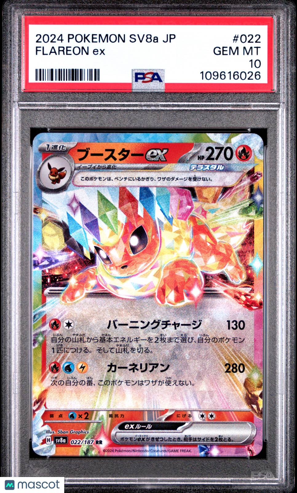 2024 Pokemon Japanese Sv8a-Terastal Fest EX Flareon EX #022 Japanese PSA 10
